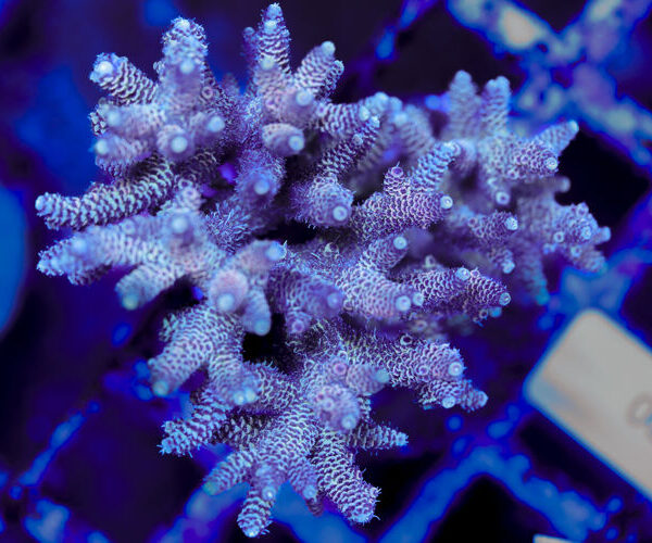 import placeholder for 3060364