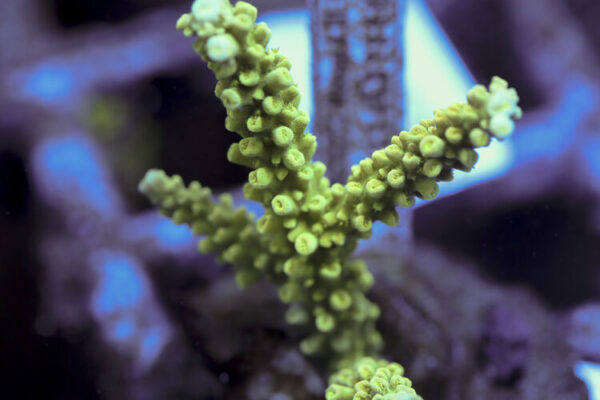 import placeholder for 3059745