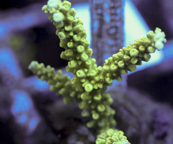 import placeholder for 3059745