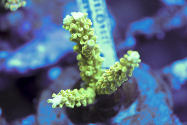 import placeholder for 3059744