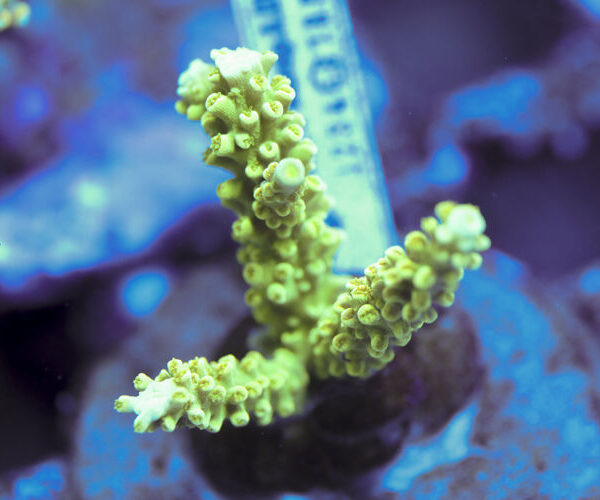 import placeholder for 3059744