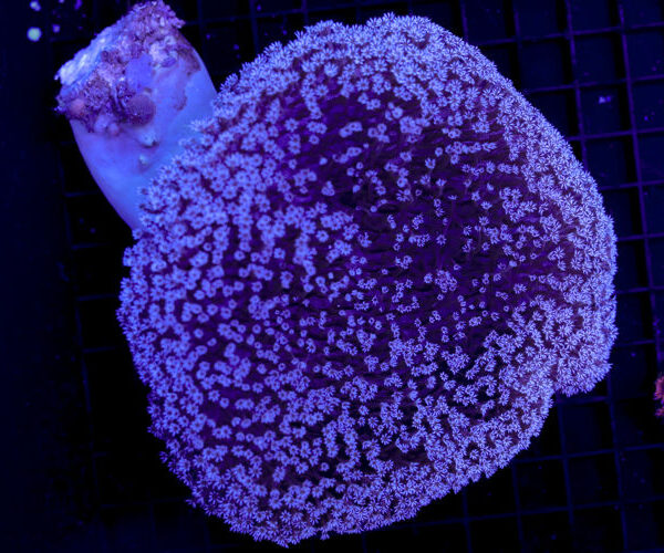 import placeholder for 3059743