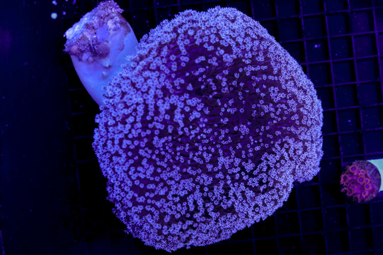 import placeholder for 3059743