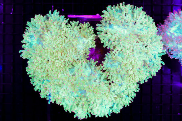 import placeholder for 3059739