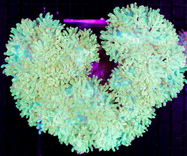 import placeholder for 3059739