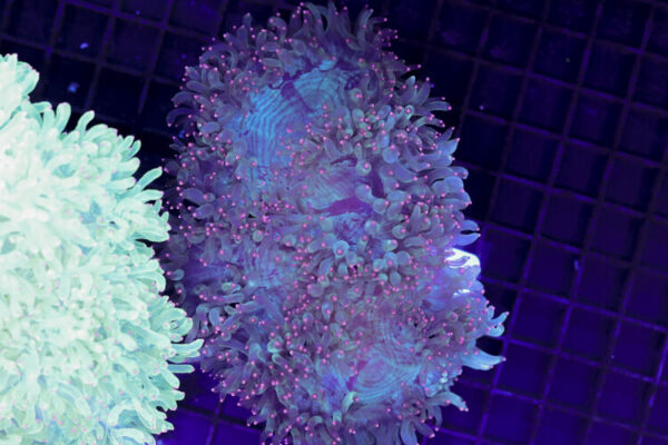 import placeholder for 3059738