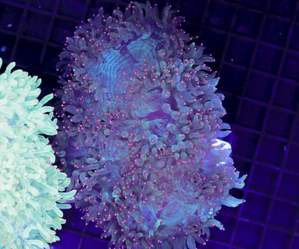 import placeholder for 3059738