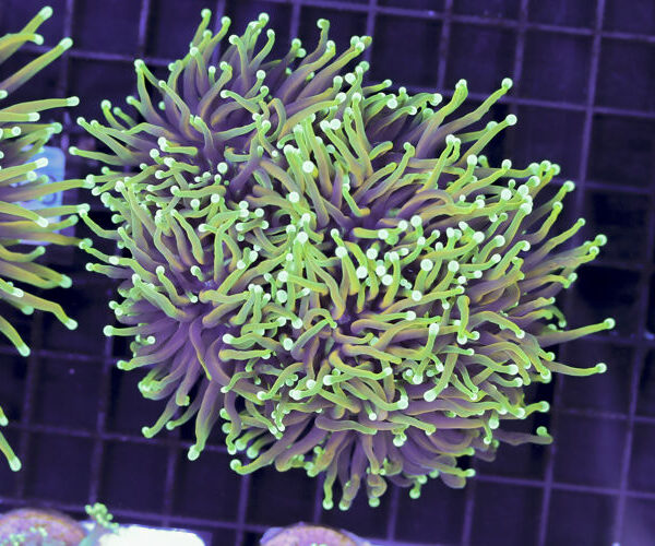 import placeholder for 3059737