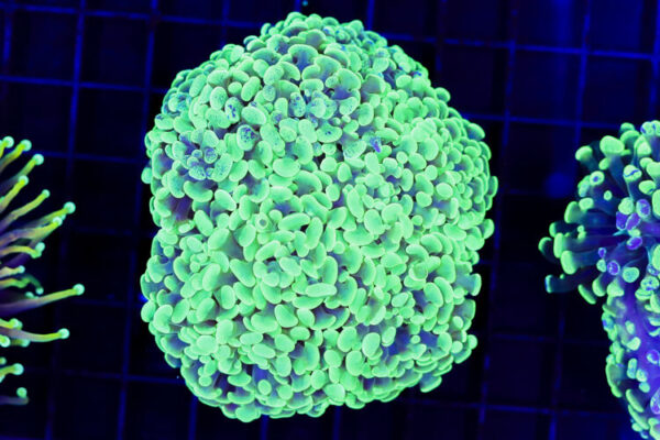 import placeholder for 3059735