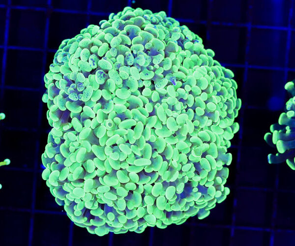 import placeholder for 3059735