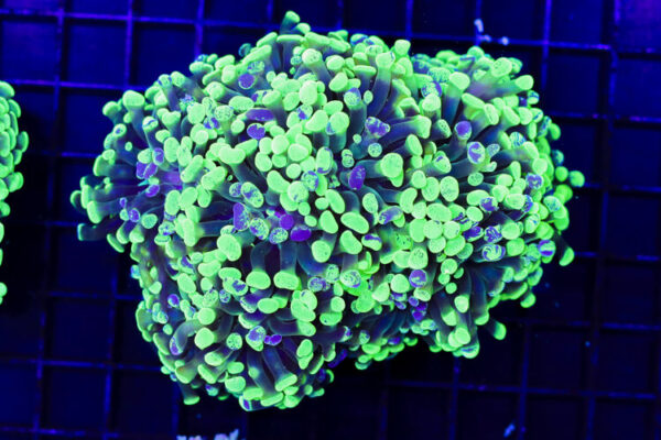 import placeholder for 3059734