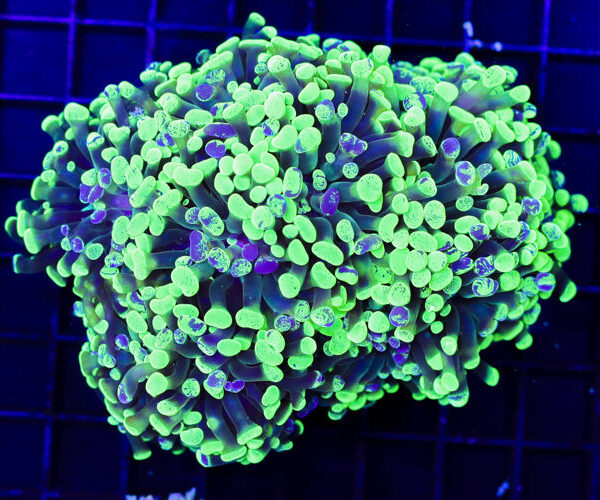 import placeholder for 3059734