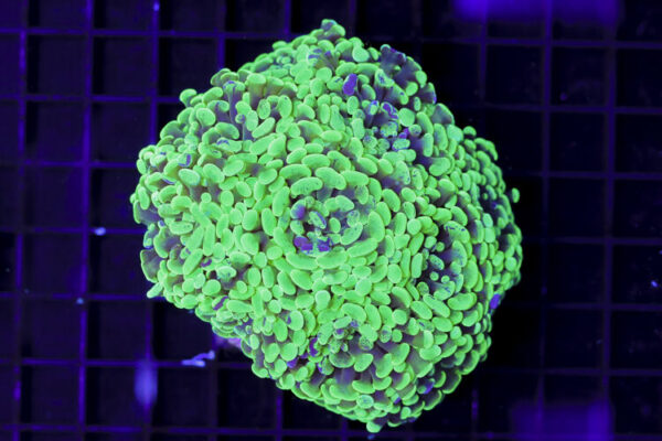 import placeholder for 3059733