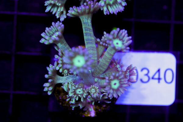 import placeholder for 3059732