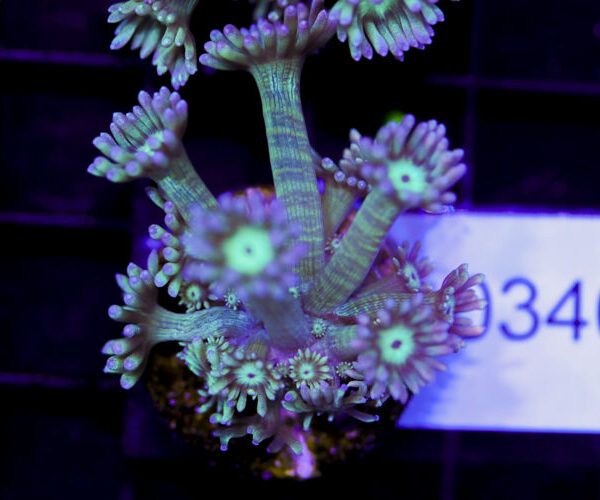 import placeholder for 3059732