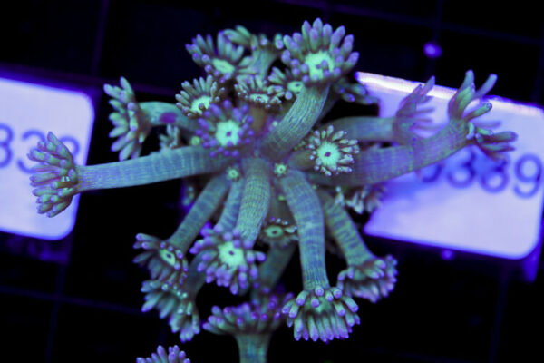 import placeholder for 3059731