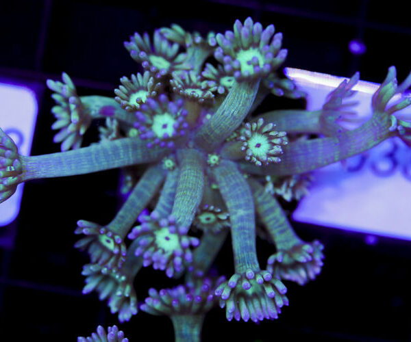 import placeholder for 3059731