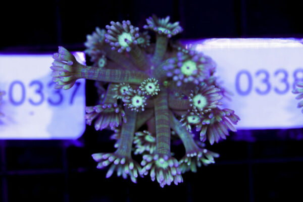 import placeholder for 3059730