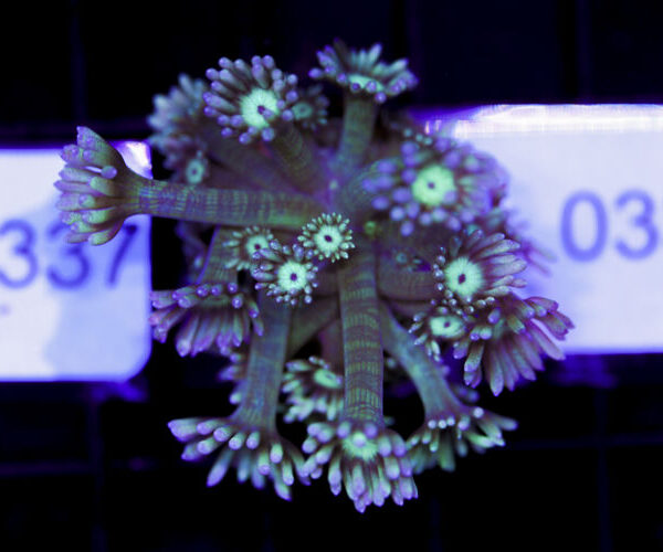 import placeholder for 3059730