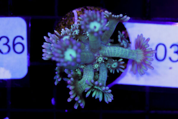 import placeholder for 3059729