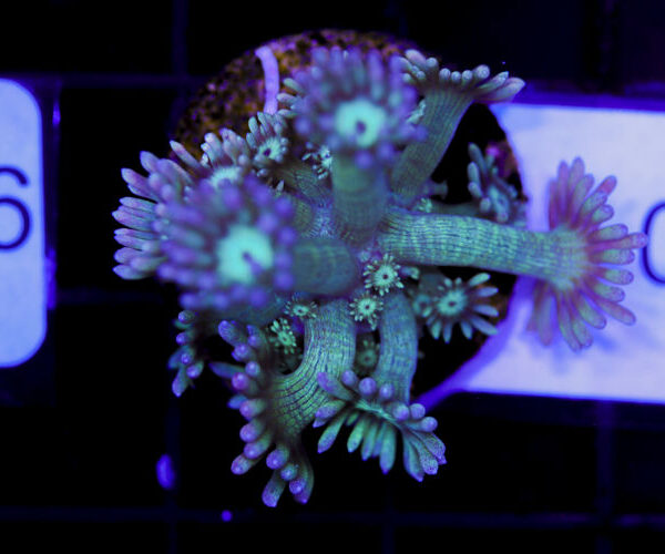 import placeholder for 3059729