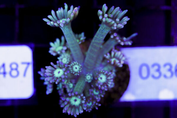 import placeholder for 3059728