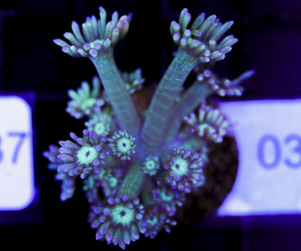 import placeholder for 3059728