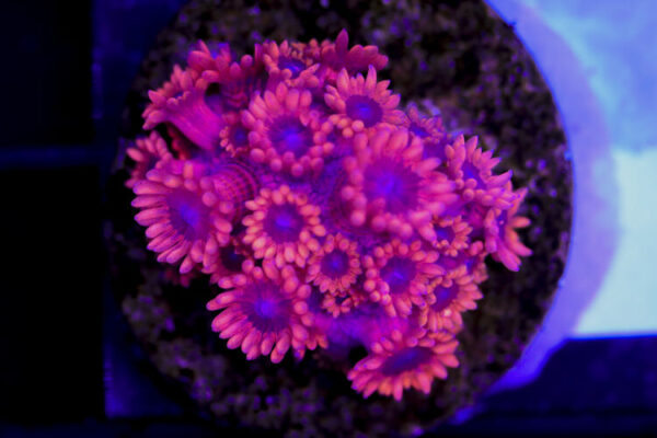 import placeholder for 3059727