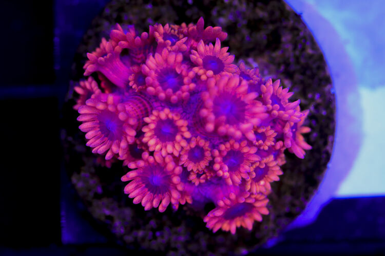 import placeholder for 3059727