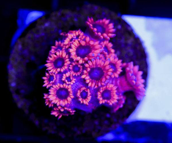 import placeholder for 3059724