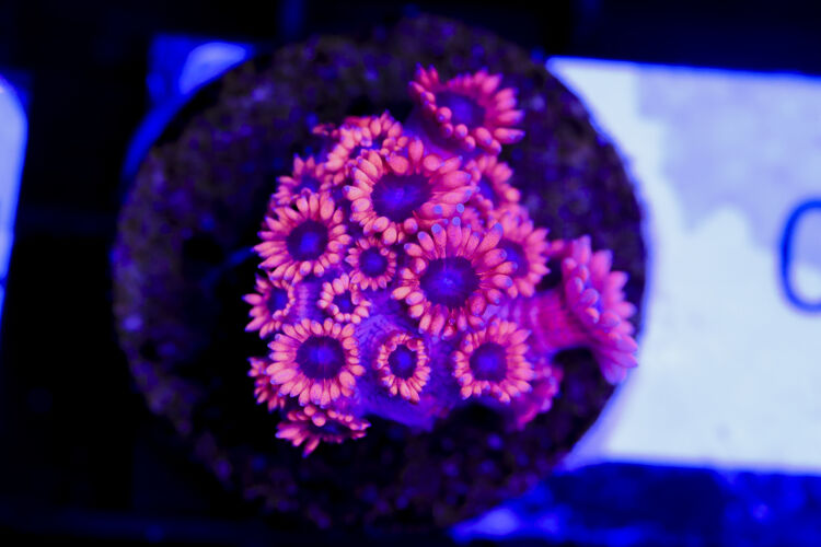 import placeholder for 3059724