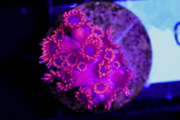 import placeholder for 3059722