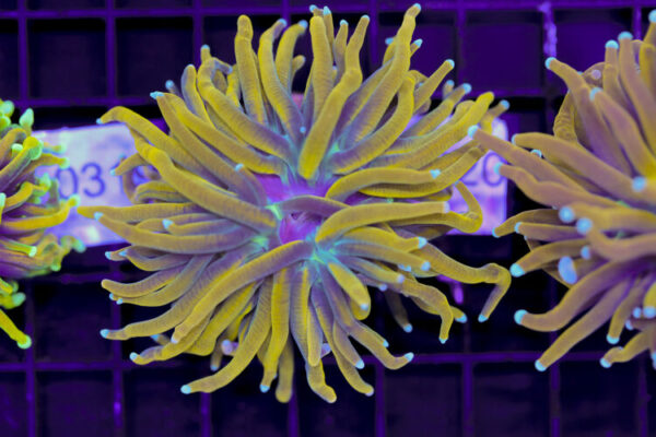 import placeholder for 3059711