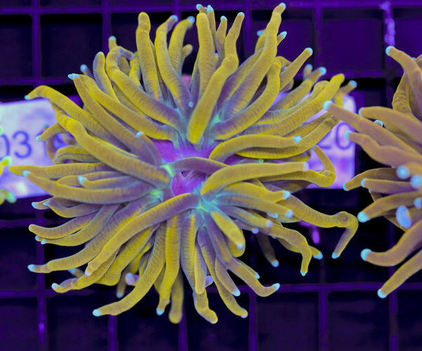 import placeholder for 3059711