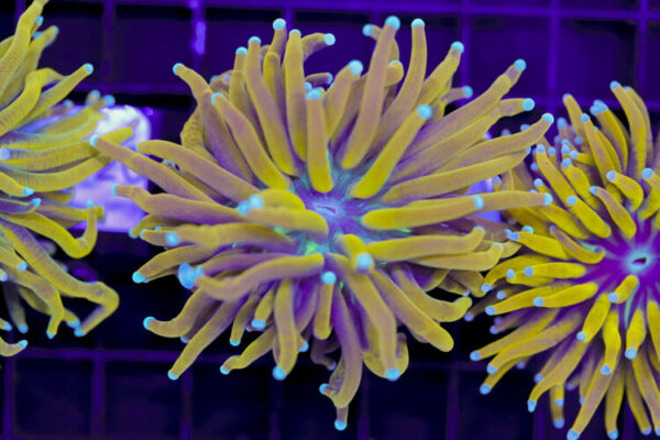 import placeholder for 3059710