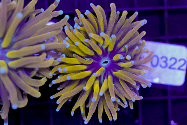 import placeholder for 3059709