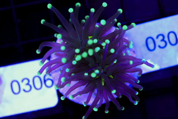 import placeholder for 3059707