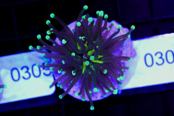 import placeholder for 3059706