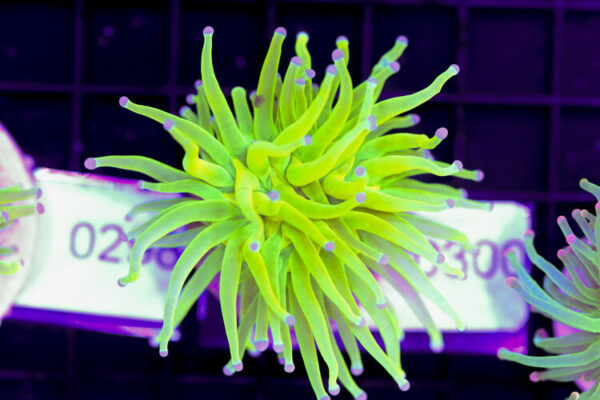 import placeholder for 3059694