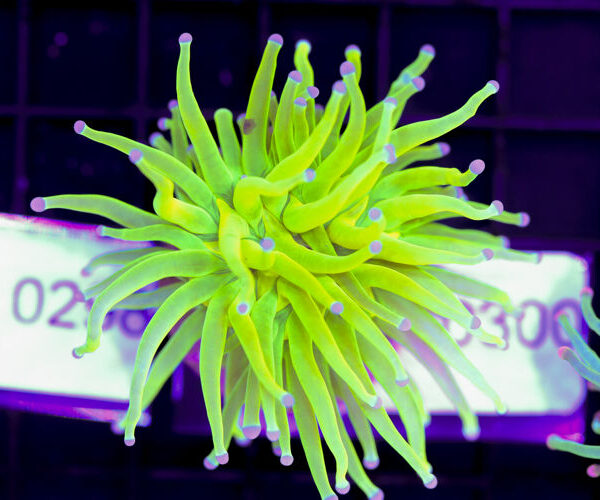 import placeholder for 3059694