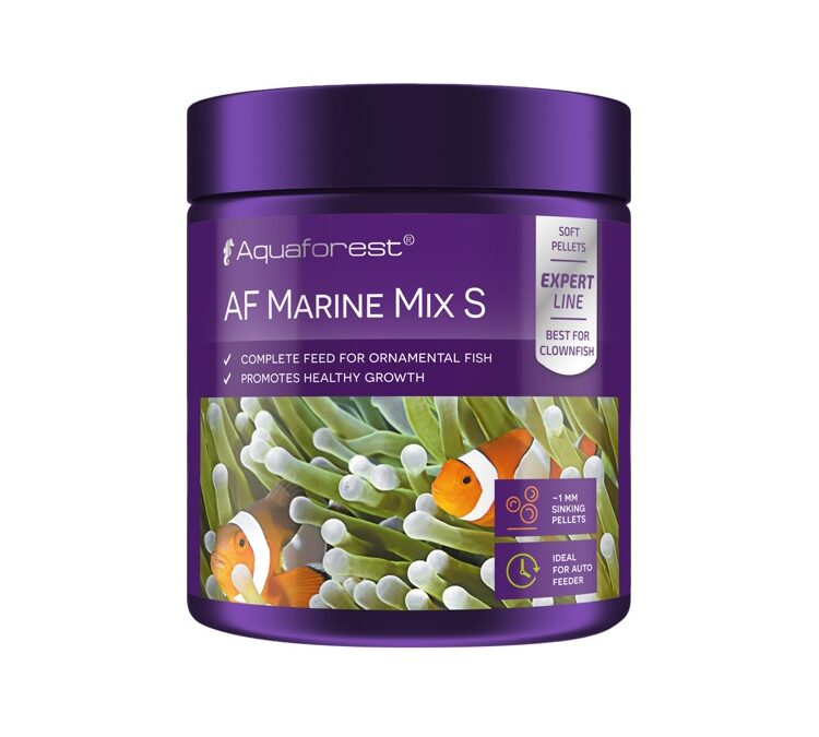 import placeholder for 2507955