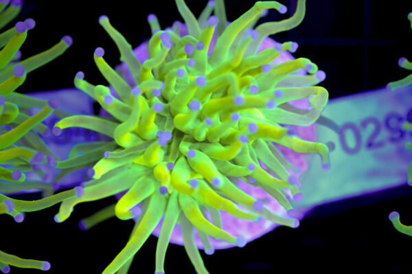 import placeholder for 3059691