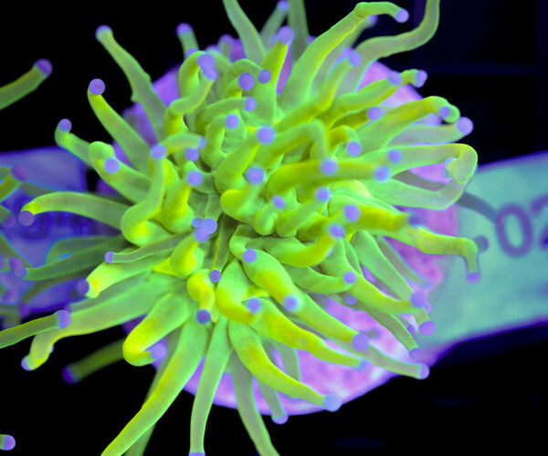 import placeholder for 3059691