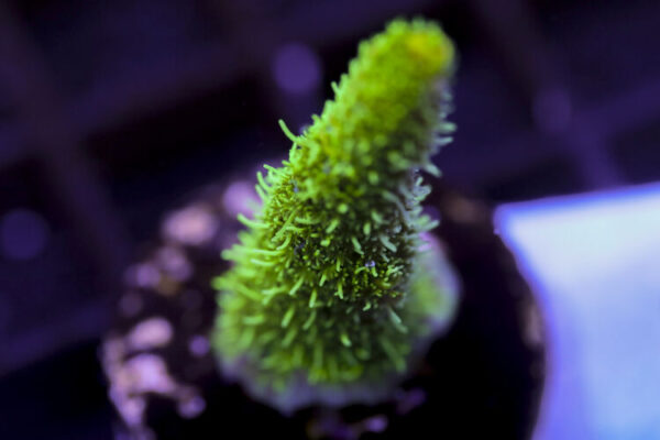 import placeholder for 3059005