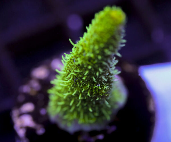 import placeholder for 3059005