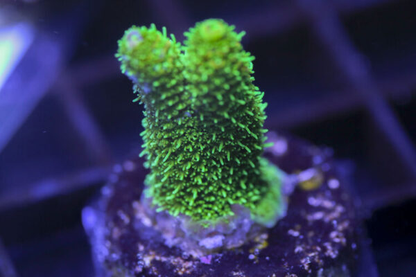 import placeholder for 3059002