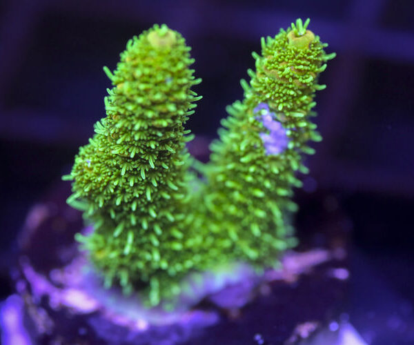 import placeholder for 3059001