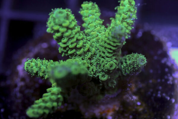 import placeholder for 3058995