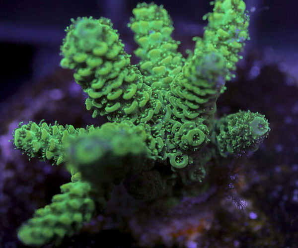 import placeholder for 3058995