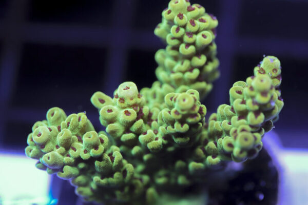 import placeholder for 3058992